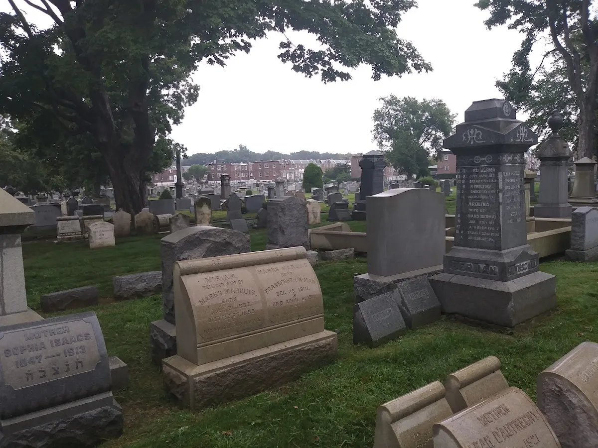 Mt. Sinai Cemetery — foto 5