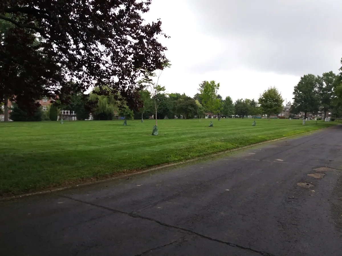 Mt. Sinai Cemetery — foto 6