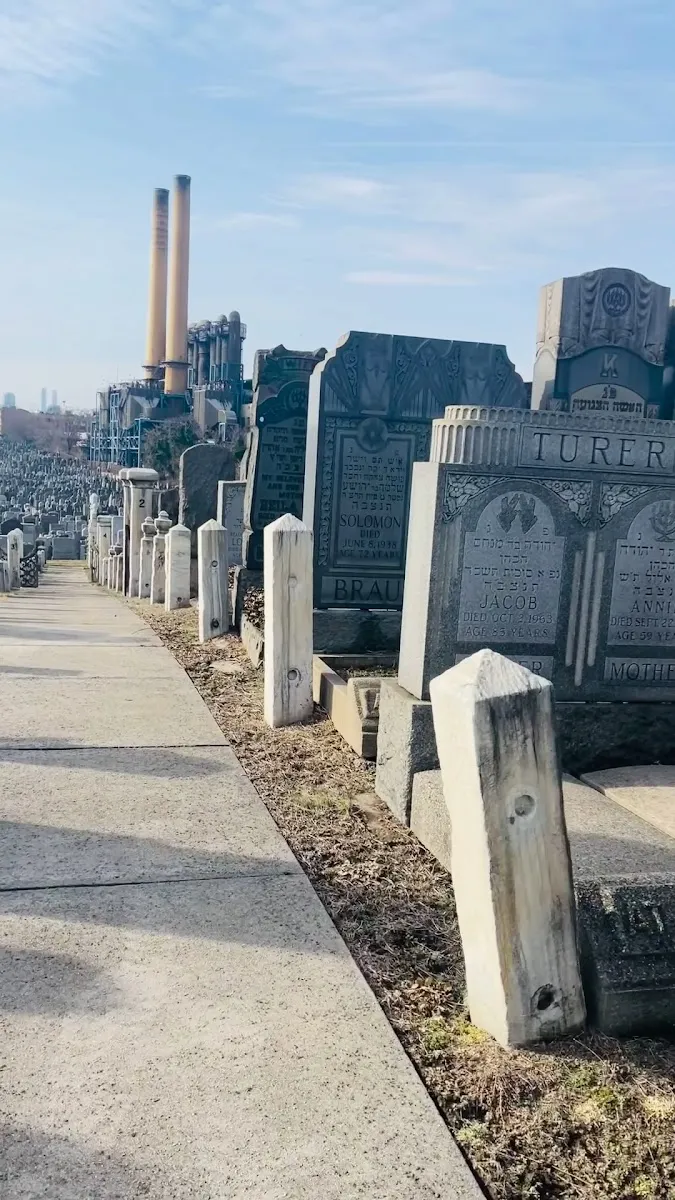 Mt Zion Cemetery — foto 2