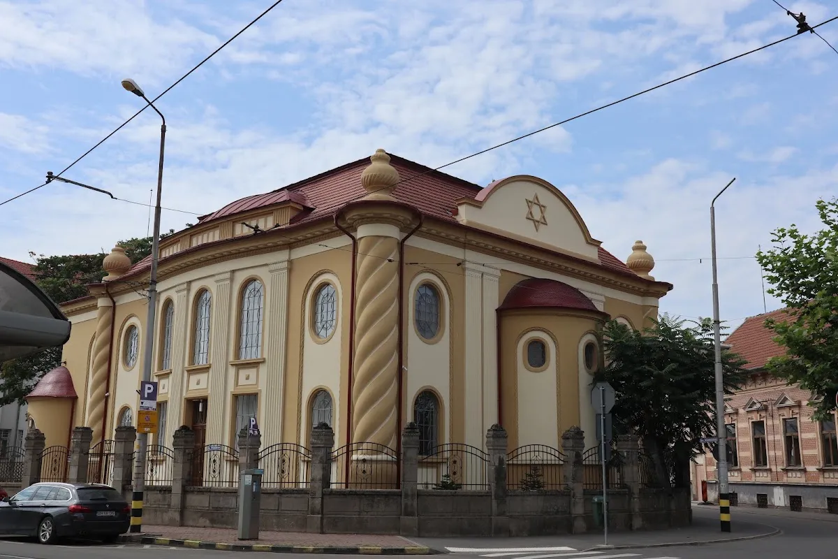 Museo Aachvas Rein de Oradea — photo 7