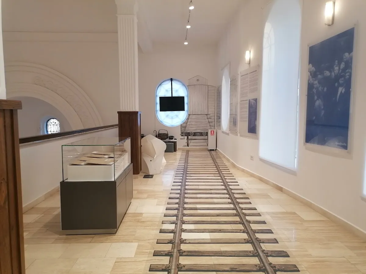 Museo Aachvas Rein de Oradea — photo 9