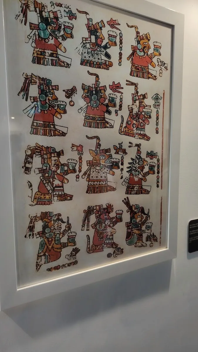 Museo Casa Coronel del Cacao y del Chocolate — foto 9