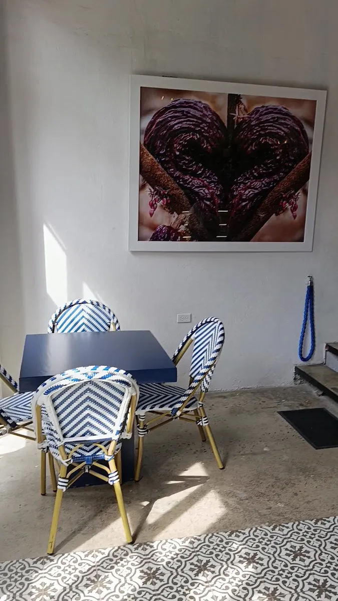 Museo Casa Coronel del Cacao y del Chocolate — foto 10