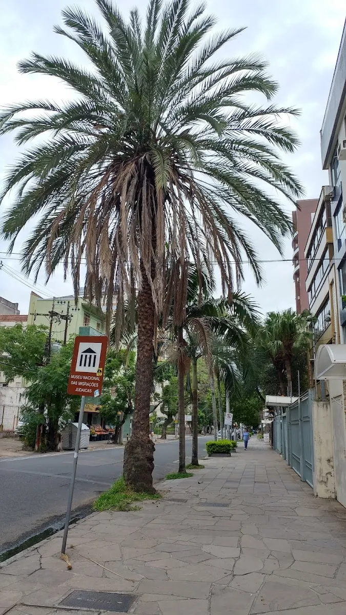 Museu Israelita — photo 2