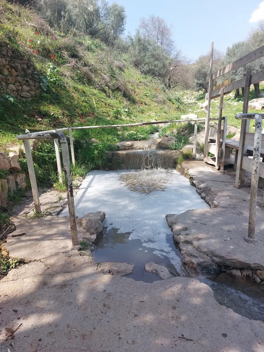 Natural Mikveh Safed — foto 3