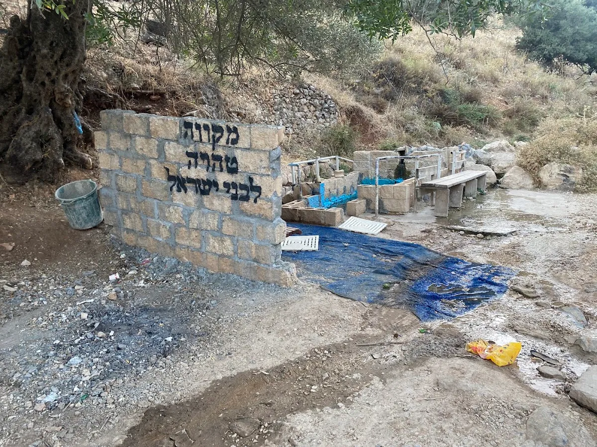 Natural Mikveh Safed — foto 6