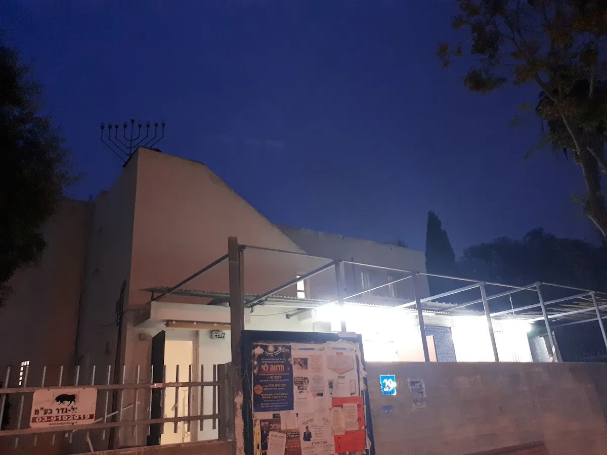 Negba Synagogue — foto 7