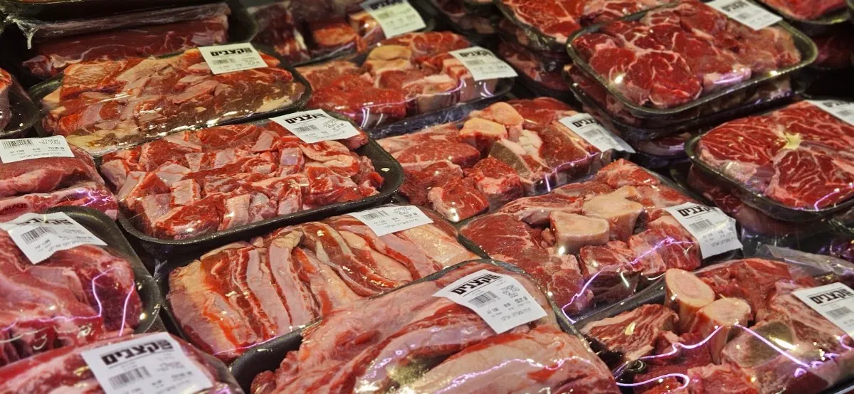 Netach Katzavim (Elad) — photo 6