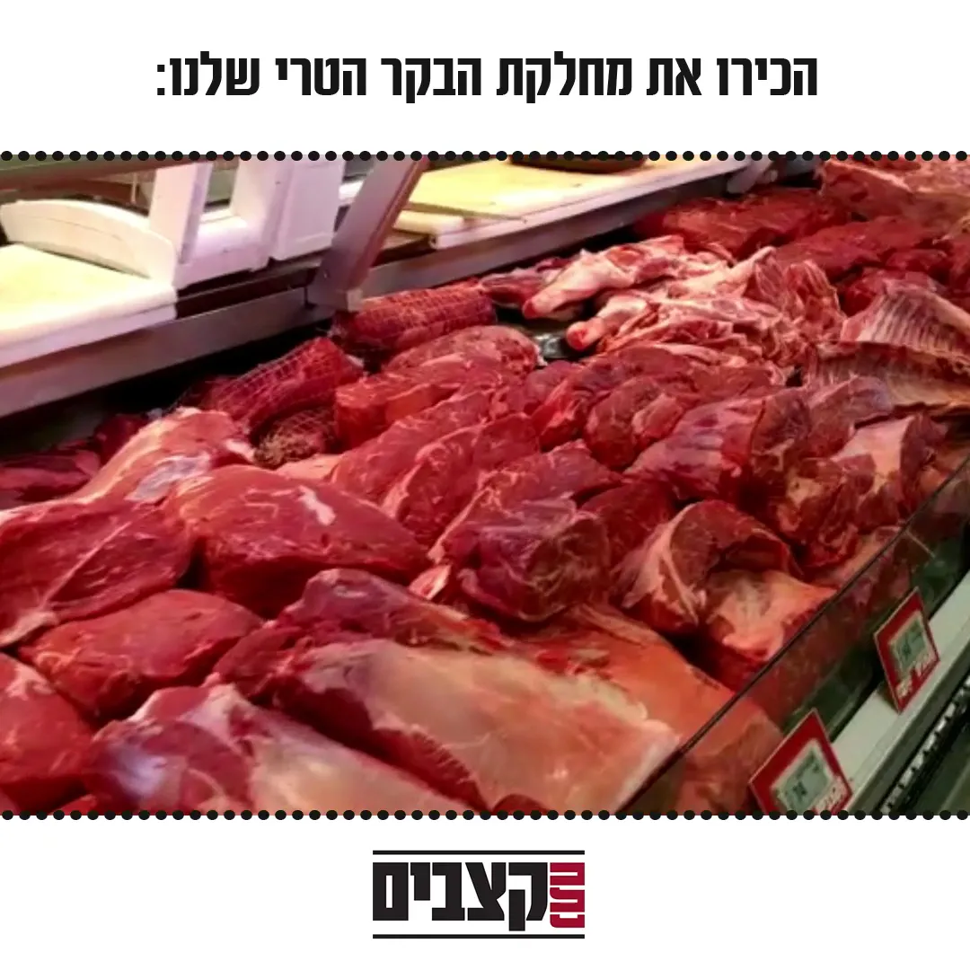Netach Katzavim (Petah Tikva) — photo 2
