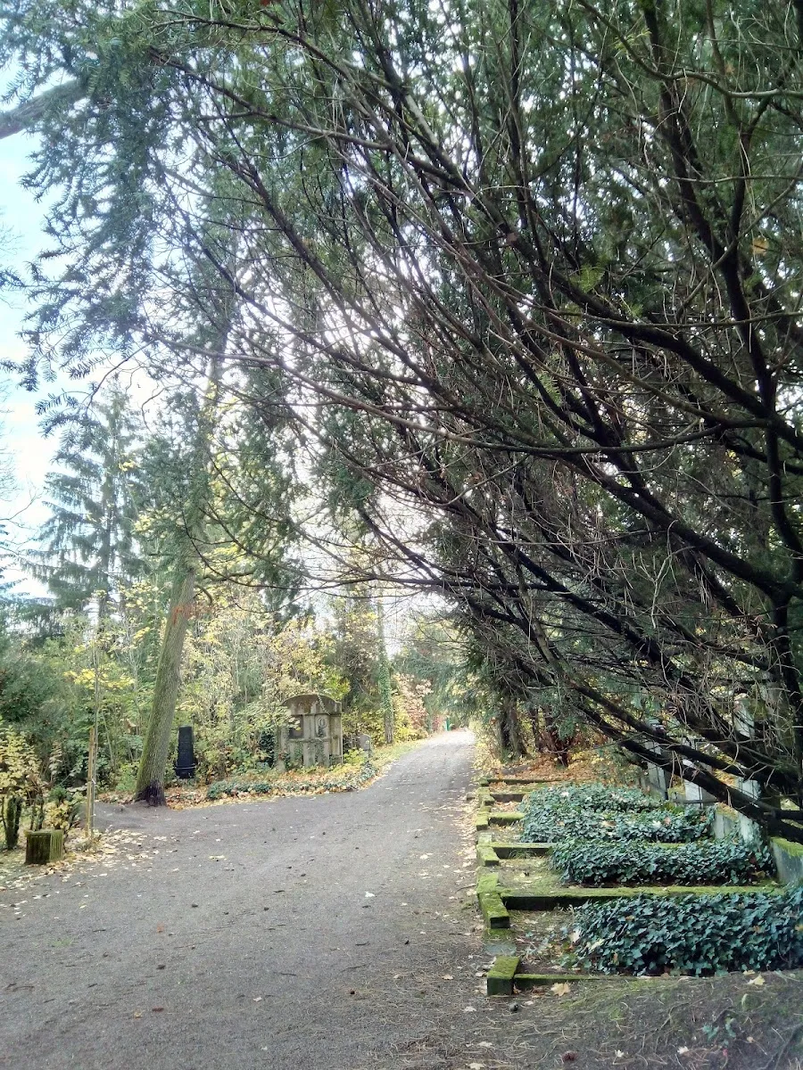 Neuer Jüdischer Friedhof Erfurt — foto 6