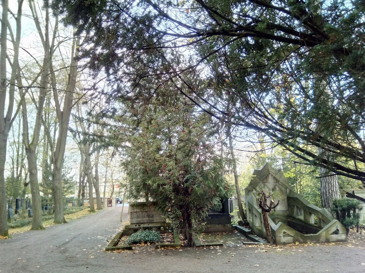 Neuer Jüdischer Friedhof Erfurt — foto 7