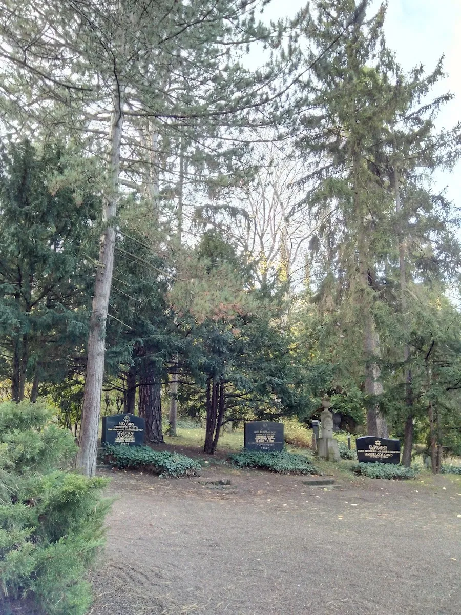 Neuer Jüdischer Friedhof Erfurt — foto 9