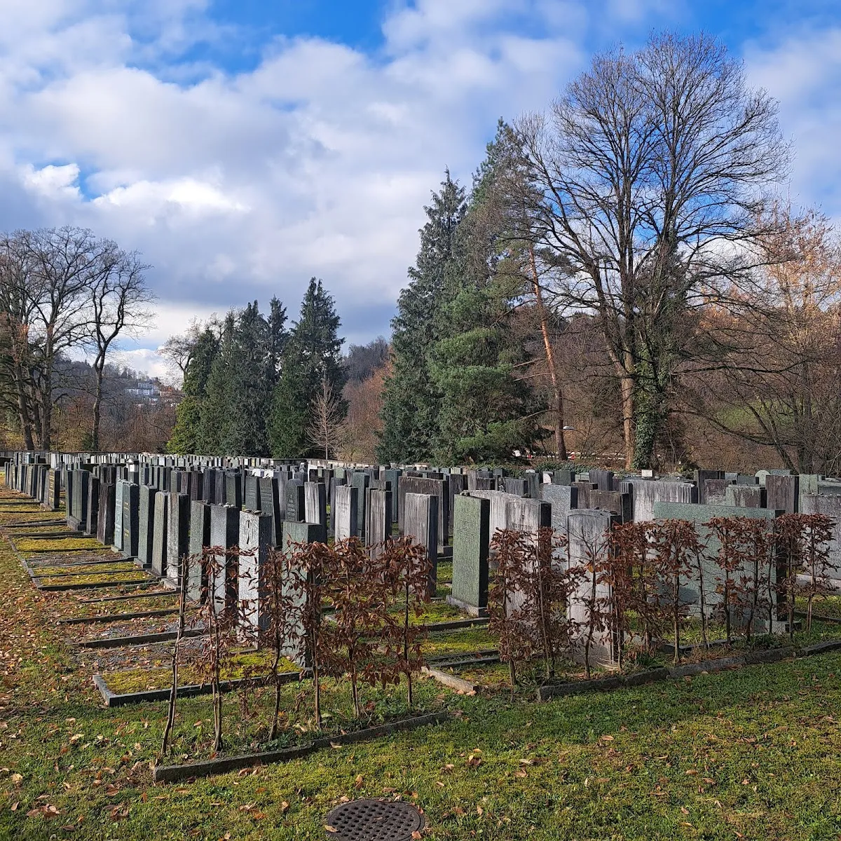 Neuer Jüdischer Friedhof Luzern — photo 2