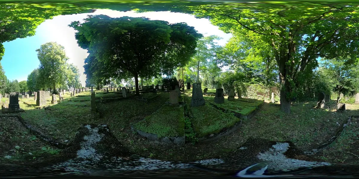 Neuer Jüdischer Friedhof Mainz — foto 3