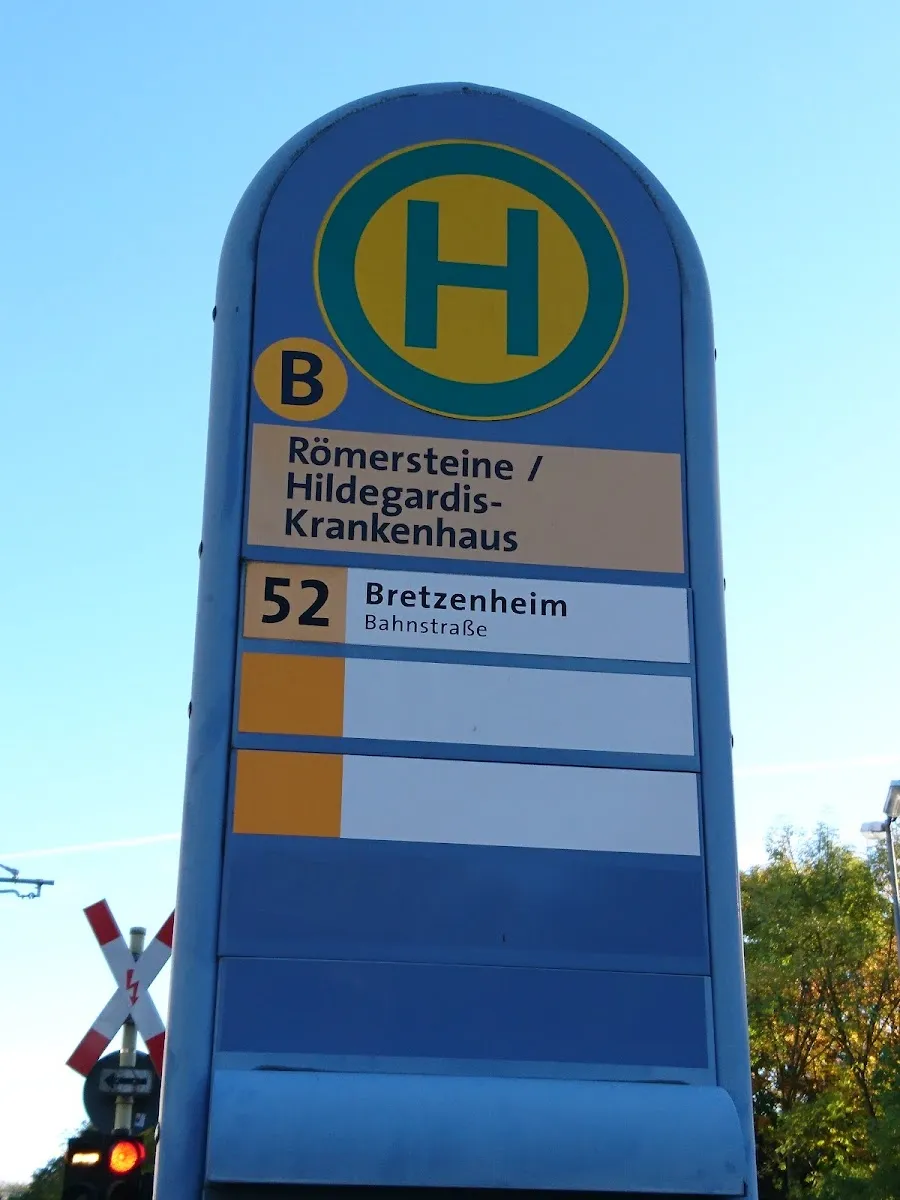 Neuer Jüdischer Friedhof Mainz — foto 10