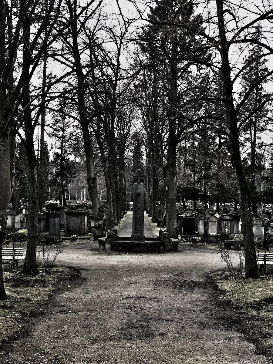 Neuer Jüdischer Friedhof Nürnberg — foto 6