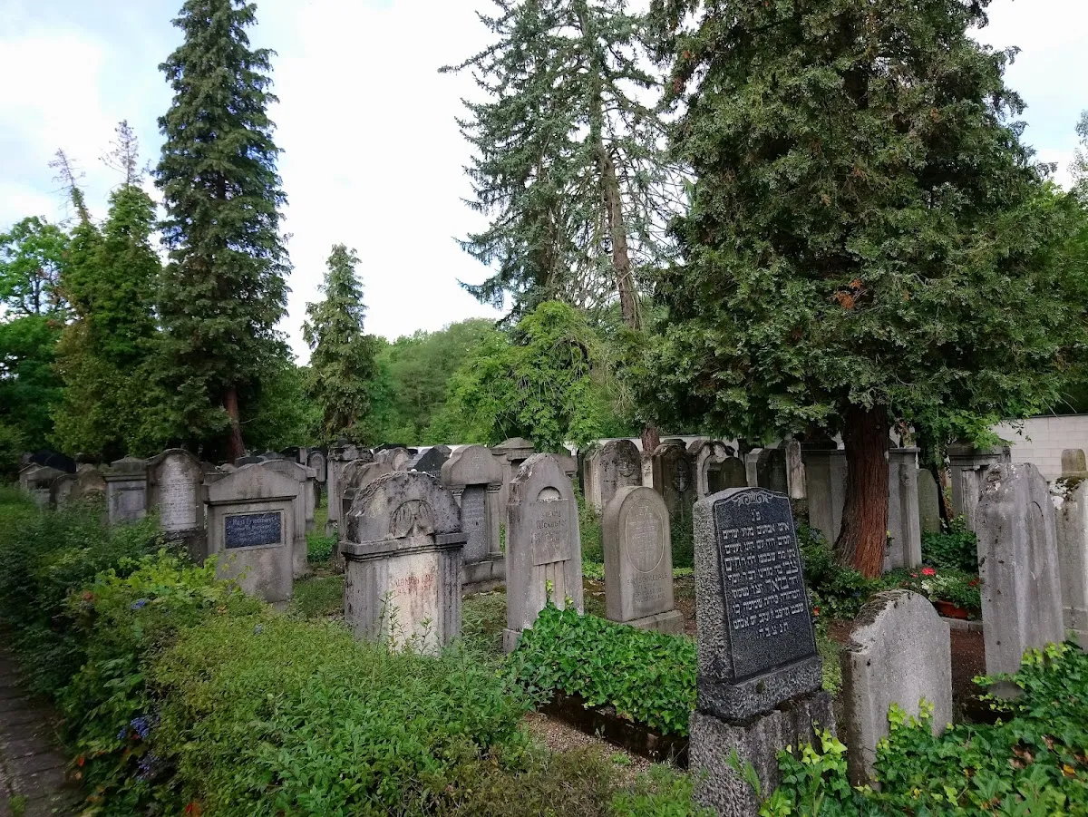 Neuer Jüdischer Friedhof Nürnberg — foto 9
