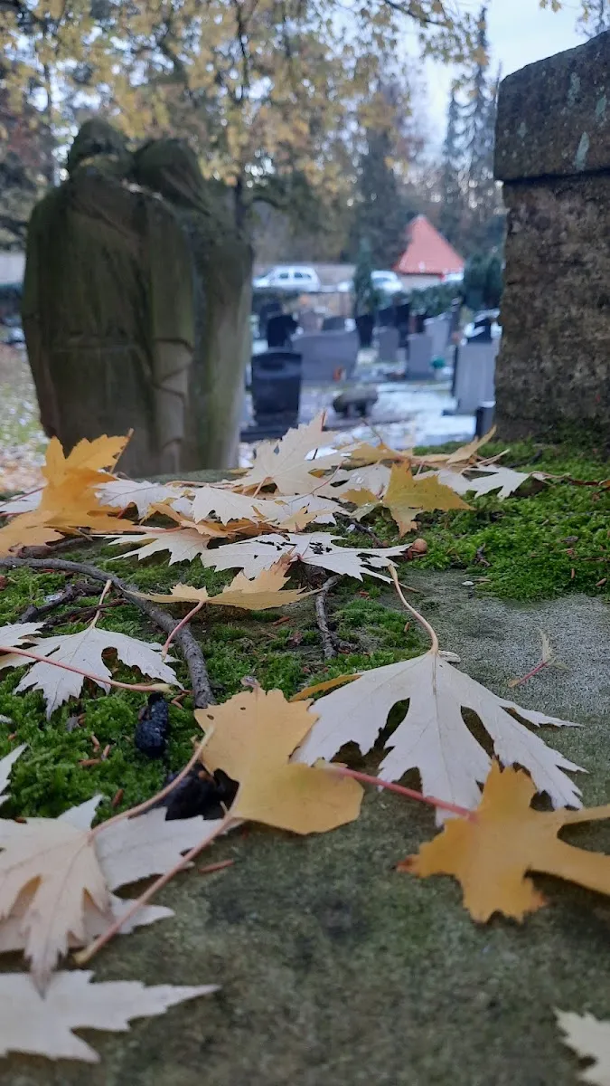 Neuer jüdischer Friedhof Osnabrück — foto 6