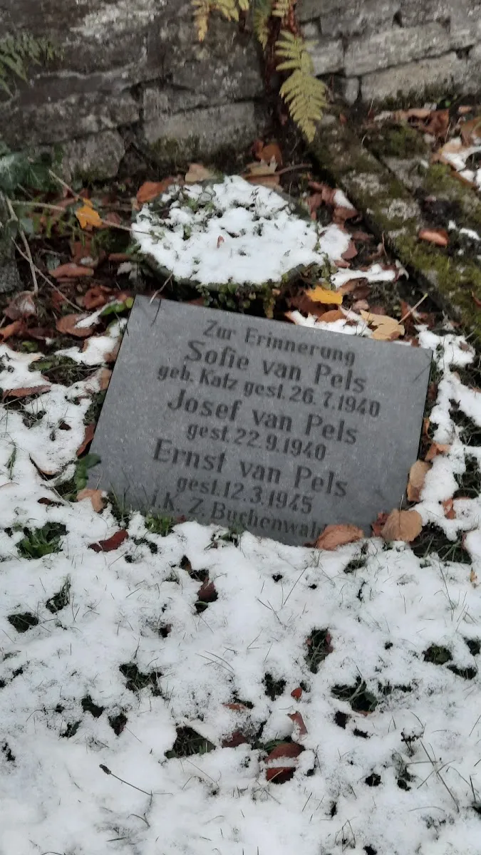 Neuer jüdischer Friedhof Osnabrück — foto 8