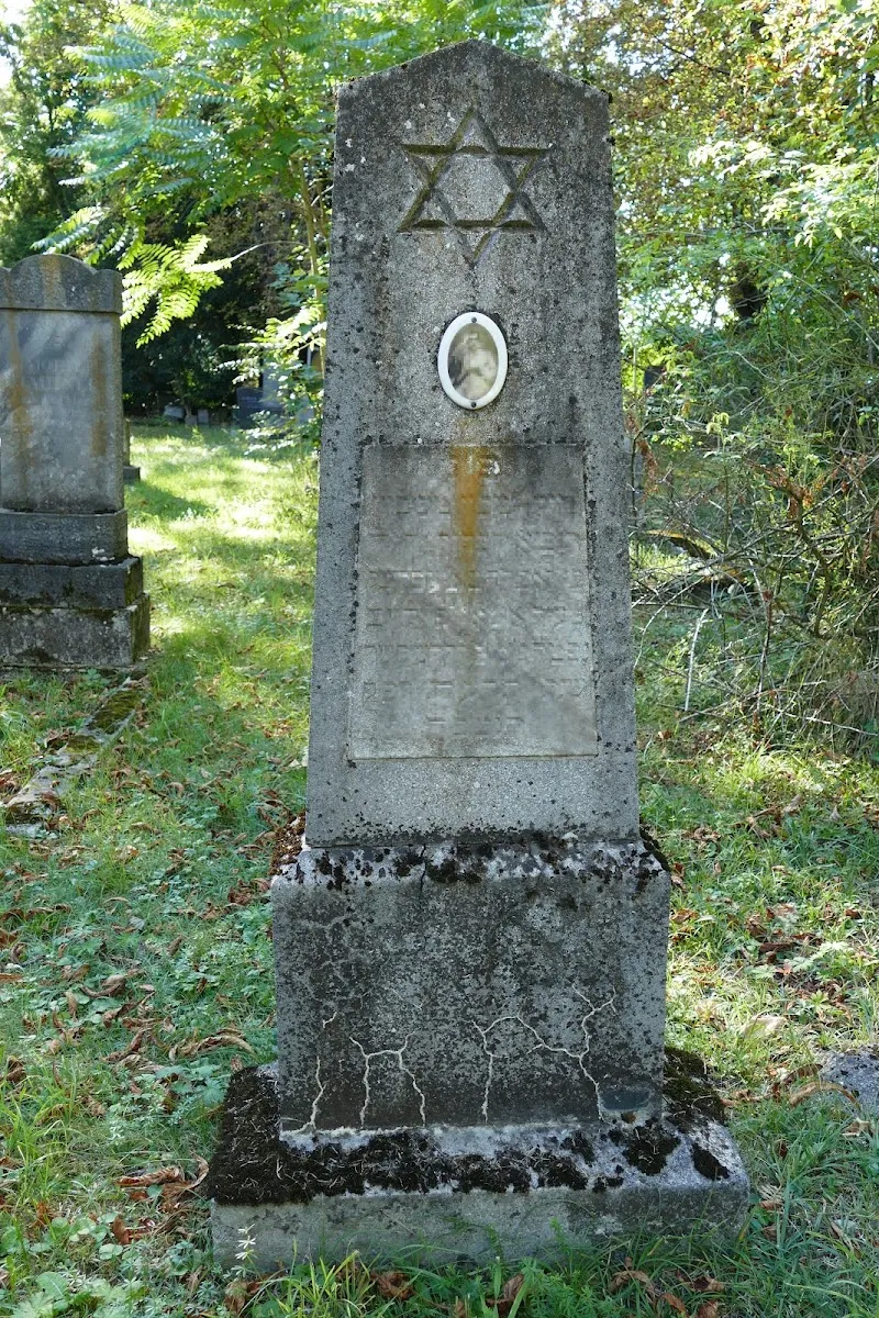 Neuer Jüdischer Friedhof St. Pölten — photo 3