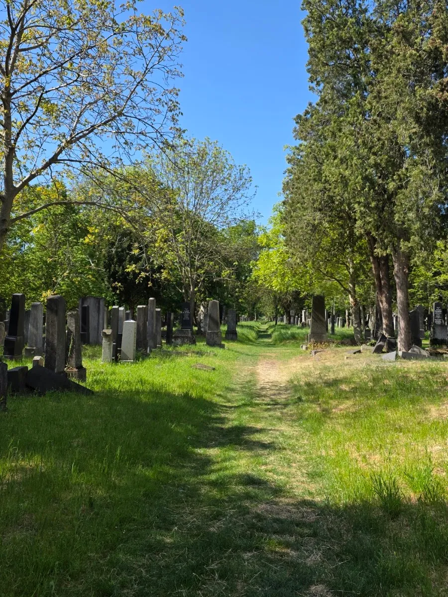 Neuer Jüdischer Friedhof (Zentralfriedhof Tor 4) — foto 3