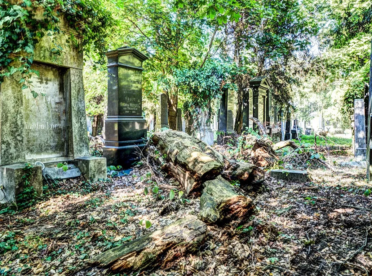 Neuer Jüdischer Friedhof (Zentralfriedhof Tor 4) — foto 8