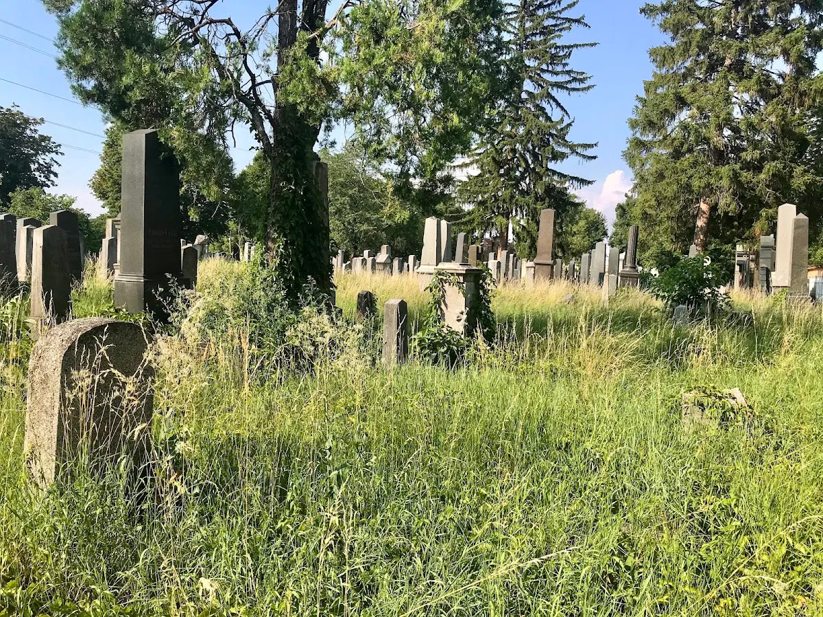 Neuer Jüdischer Friedhof (Zentralfriedhof Tor 4) — foto 10