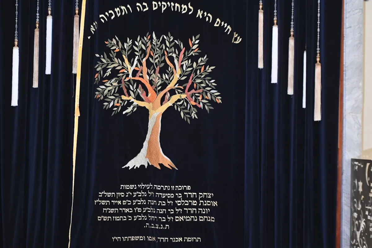 Neve Ezra Synagogue — foto 4