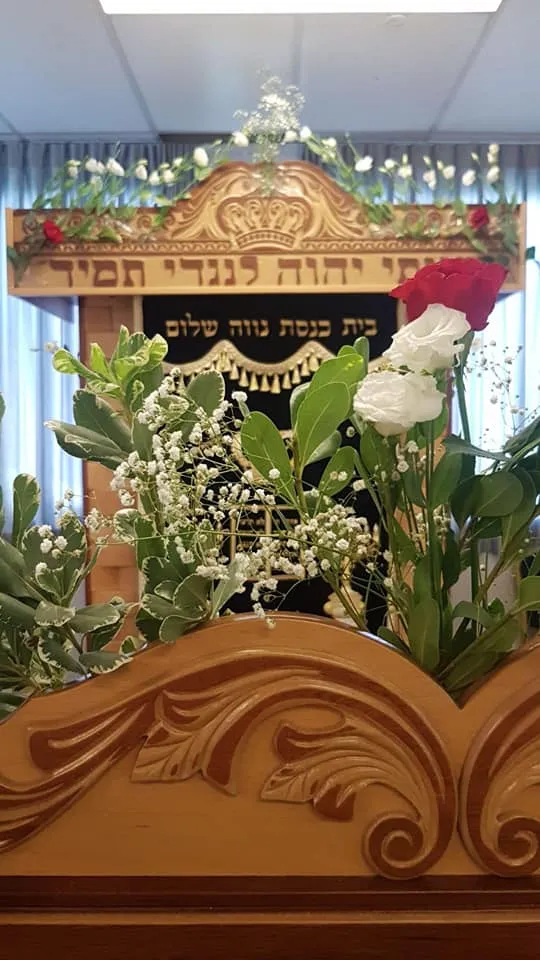 Neve Shalom Raanana — foto 2
