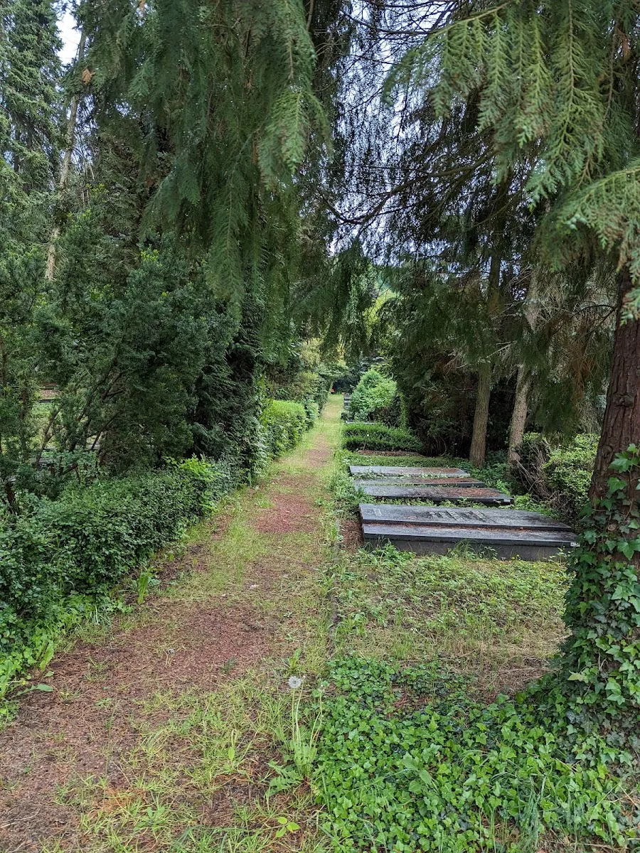 Neuer Jüdischer Friedhof Saarbrücken — foto 3