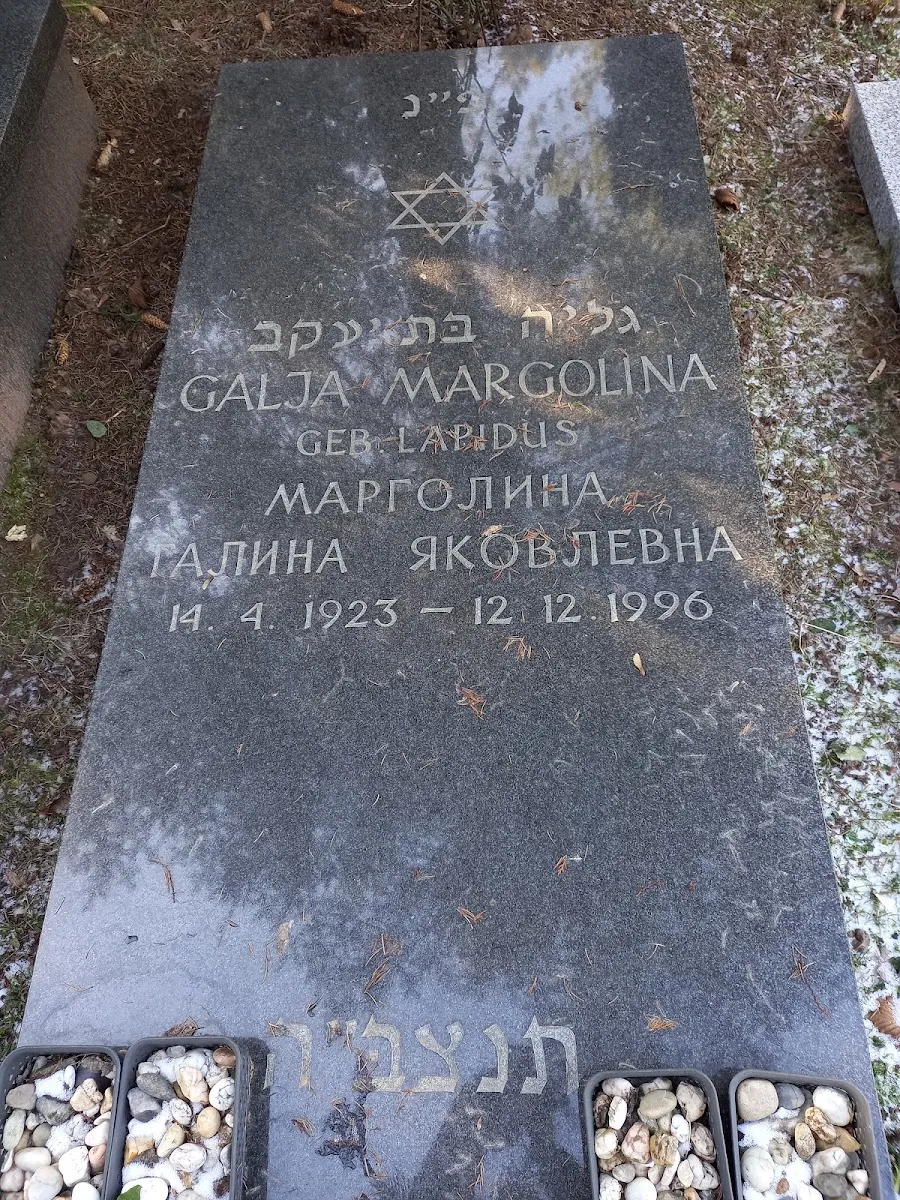 Neuer Jüdischer Friedhof Saarbrücken — foto 4
