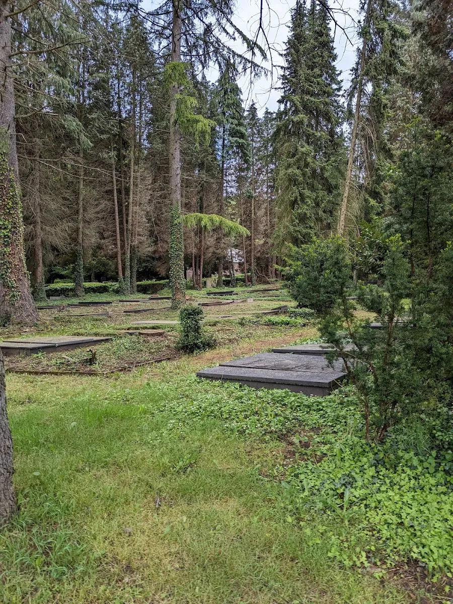 Neuer Jüdischer Friedhof Saarbrücken — foto 9