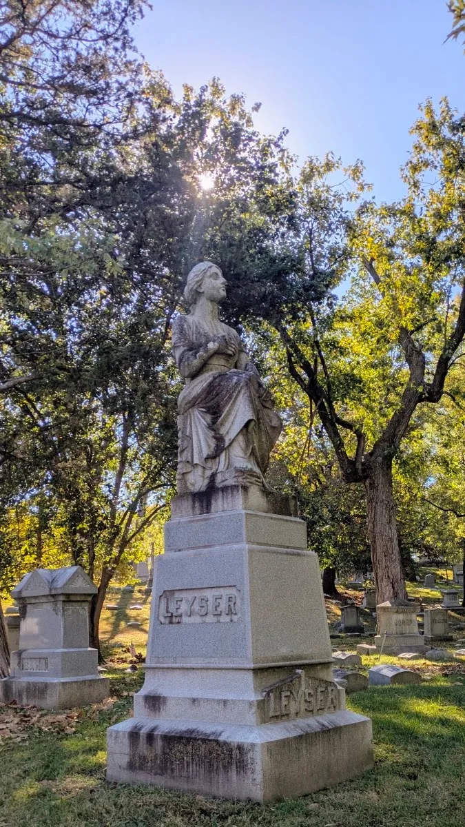 New Mount Sinai Cemetery — foto 7