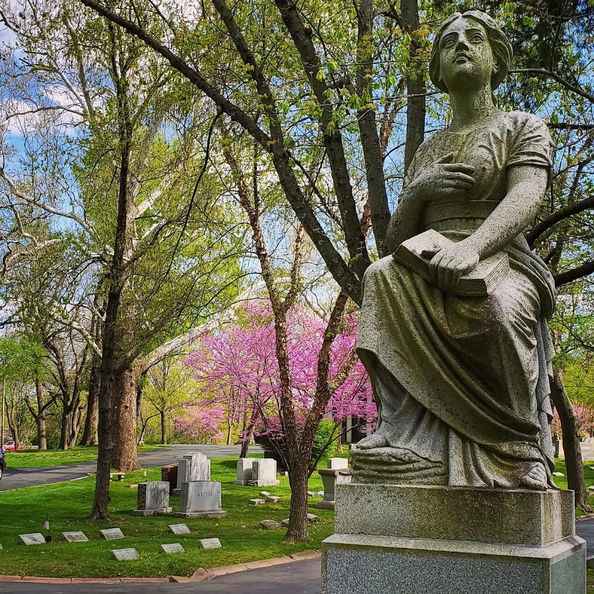 New Mount Sinai Cemetery — foto 9