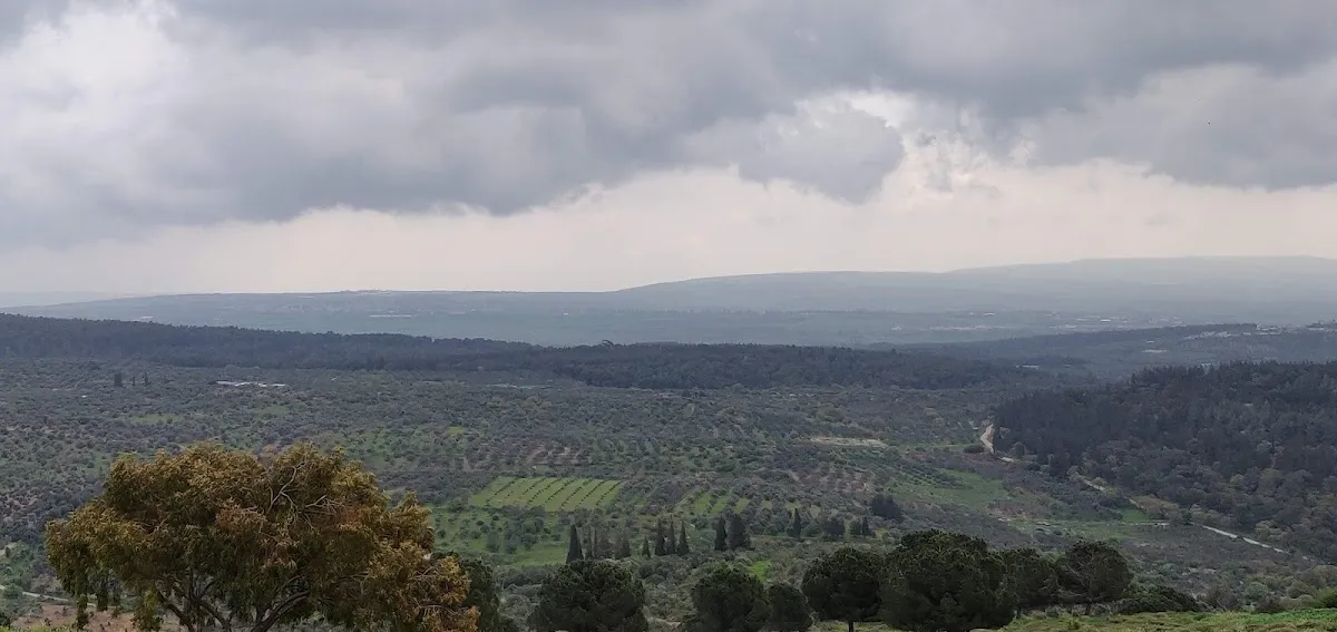 Nof HaGalil Cemetery — foto 4