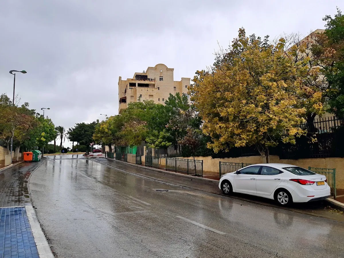 Nofei Yisrael Synagogue — foto 8