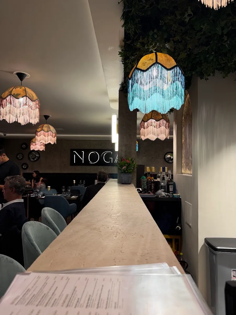 Noga — photo 8
