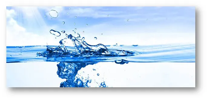 North Shore Mikveh Association Inc — foto 6
