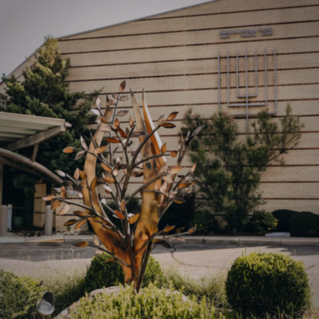 Northern Hills Synagogue — photo 6