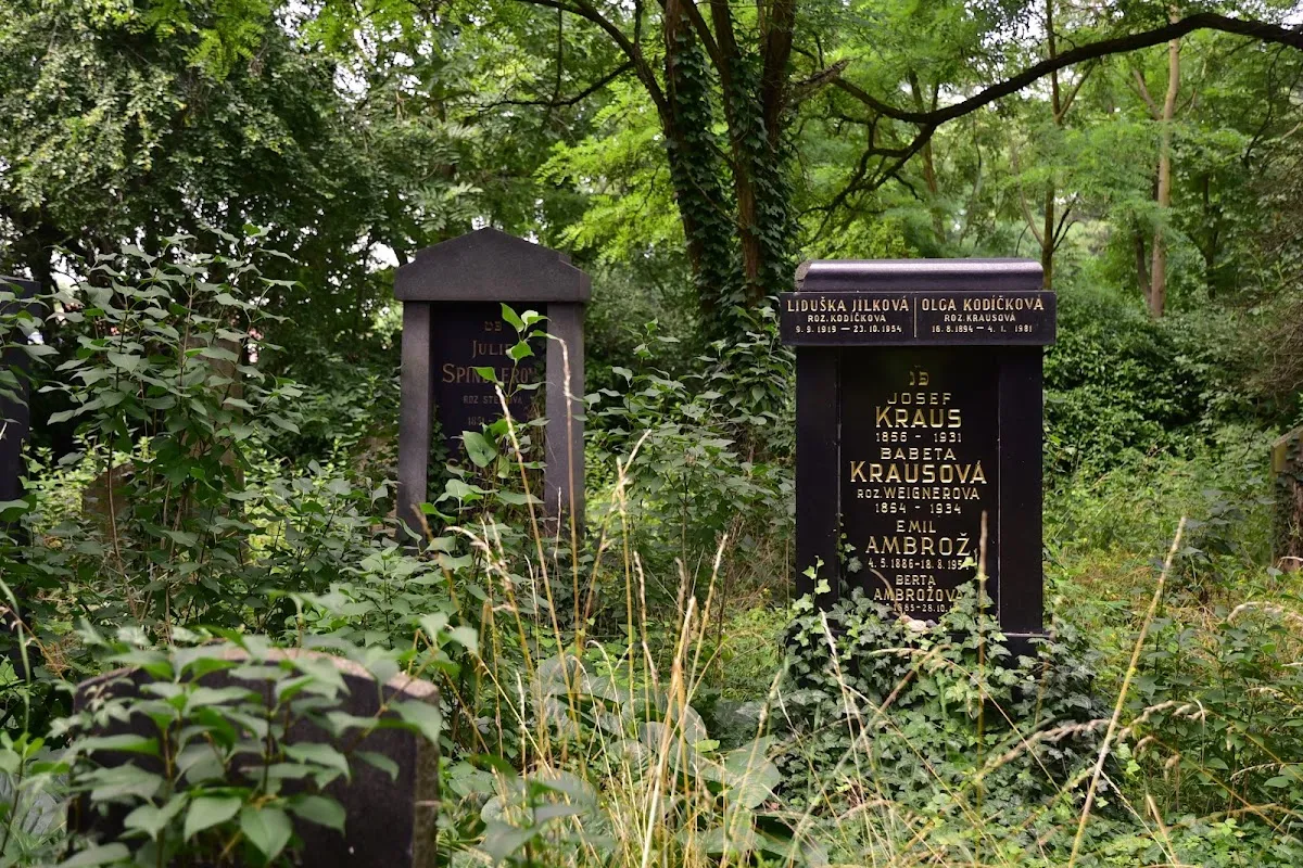 Nový židovský hřbitov Kolín — foto 10