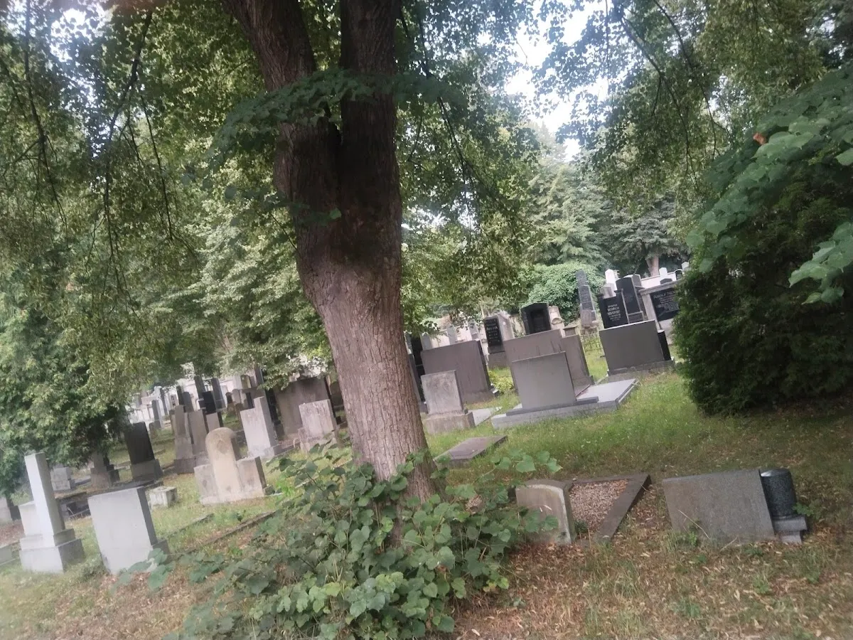 Nový židovský hřbitov Pardubice — foto 2