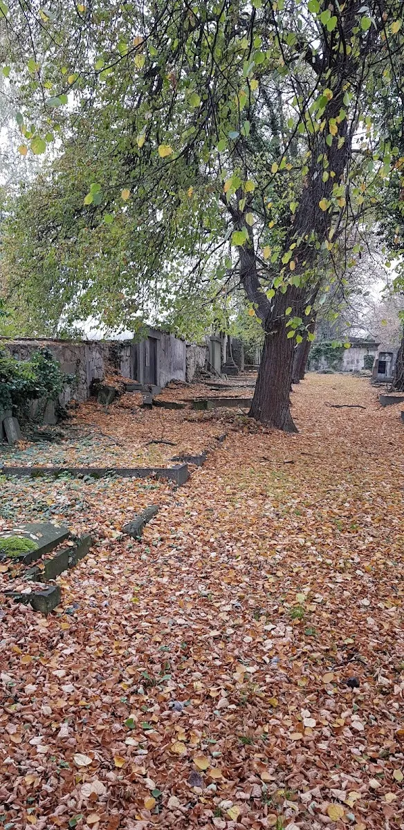 Nový židovský hřbitov v Teplicích — foto 3