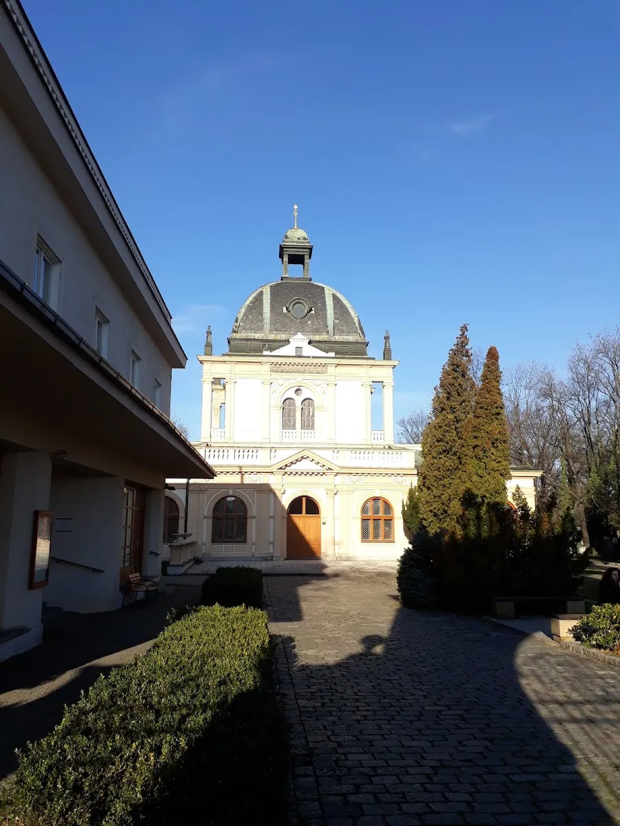 Nový židovský hřbitov — photo 4