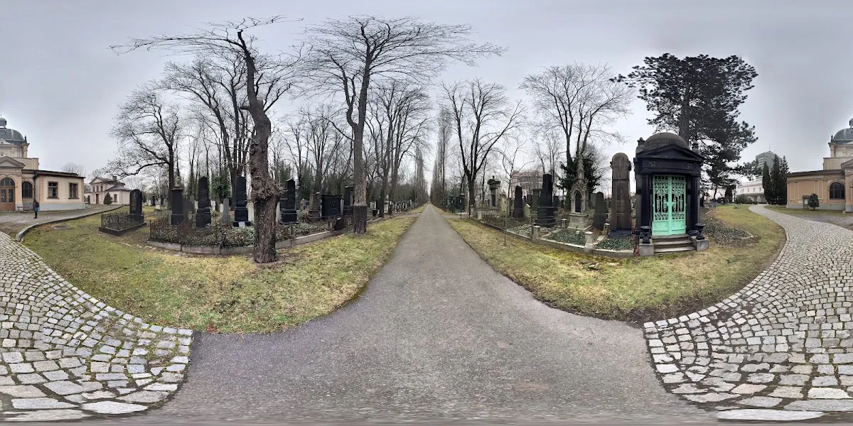 Nový židovský hřbitov — photo 6