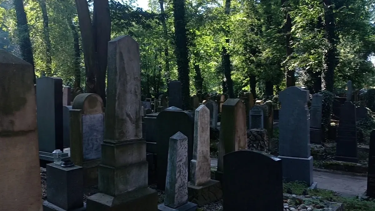 Nowy cmentarz żydowski w Krakowie — photo 3