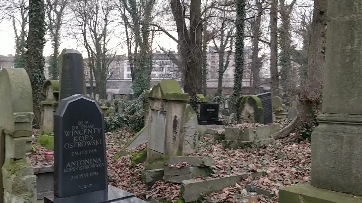 Nowy cmentarz żydowski w Krakowie — photo 6