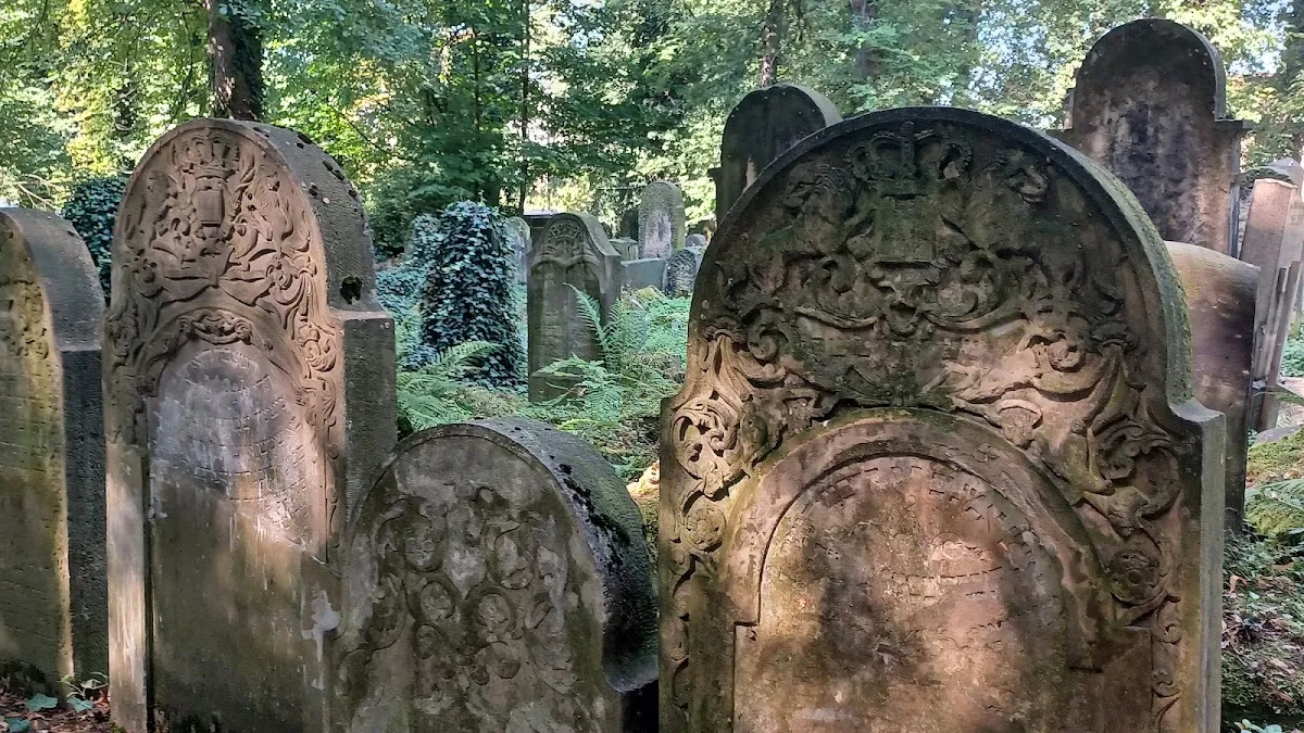 Nowy cmentarz żydowski w Krakowie — photo 7