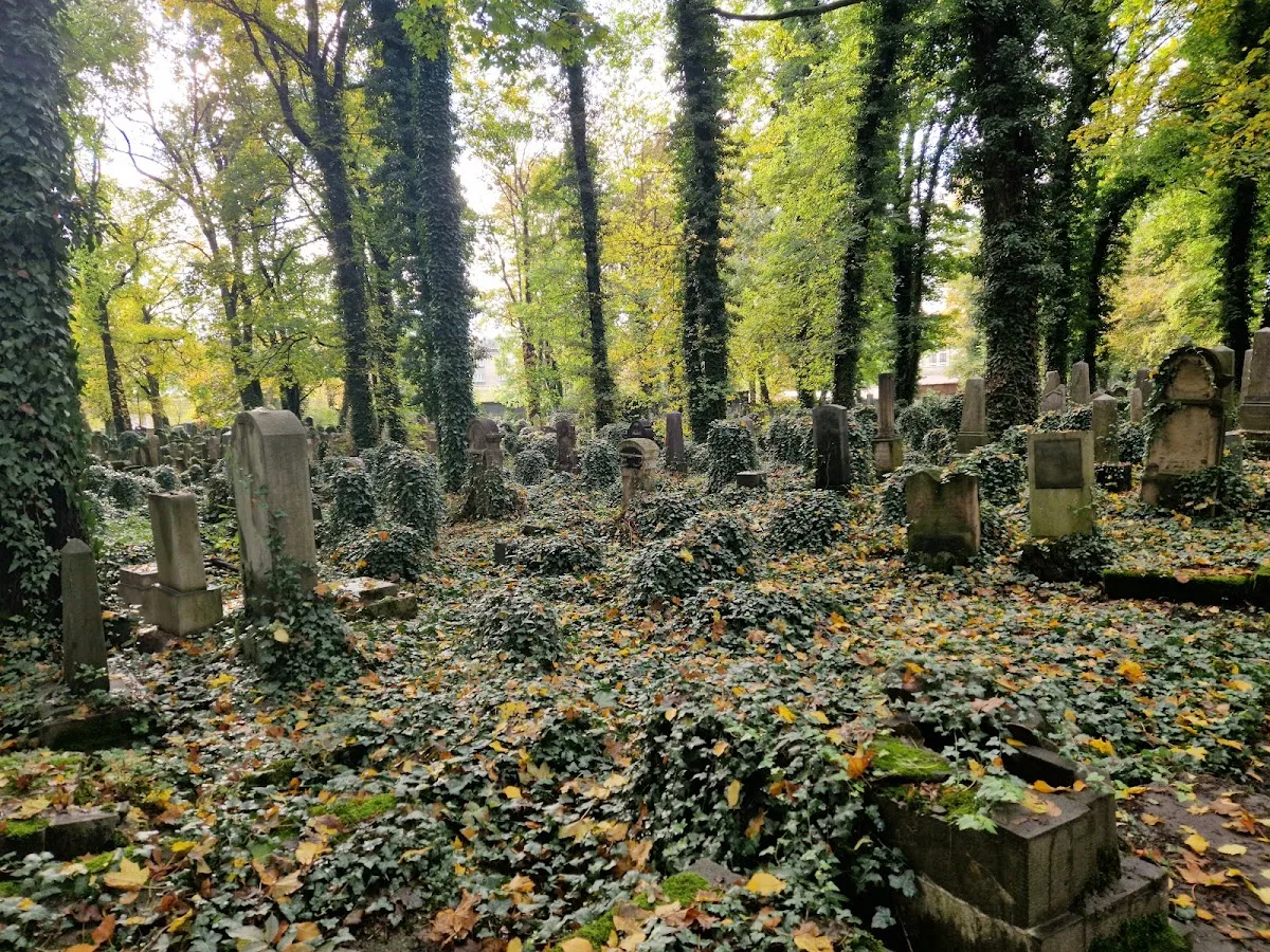 Nowy cmentarz żydowski w Krakowie — photo 8