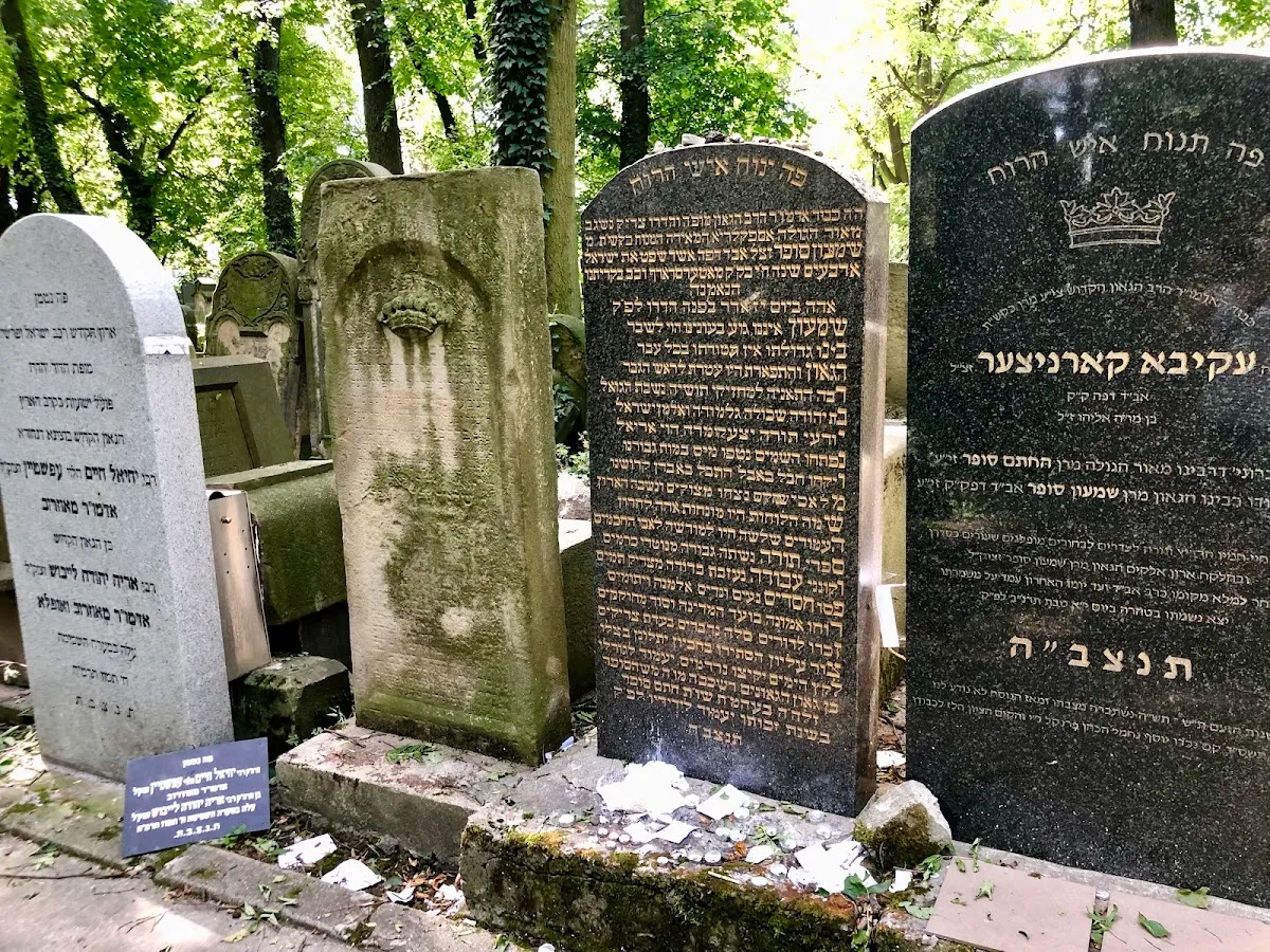 Nowy cmentarz żydowski w Krakowie — photo 9