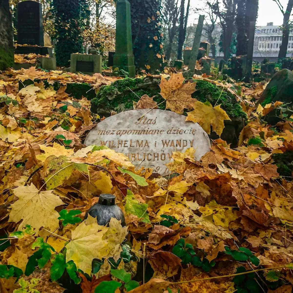 Nowy cmentarz żydowski w Krakowie — photo 10